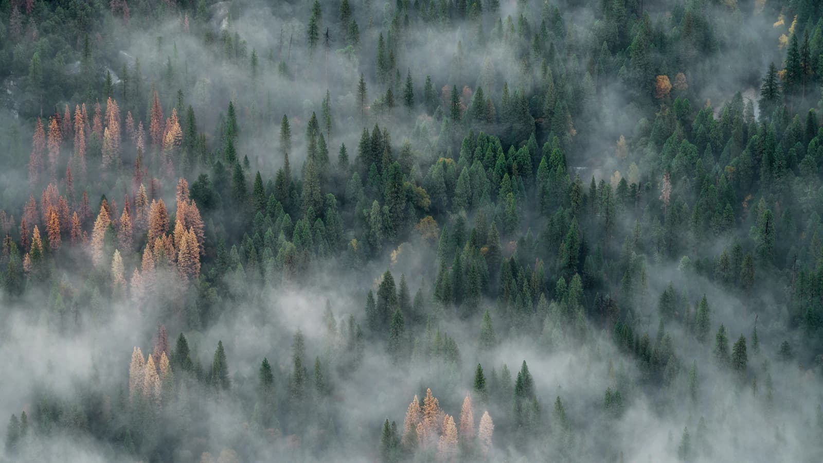 Urn en kaars bij avondlicht — asbestemming na crematie